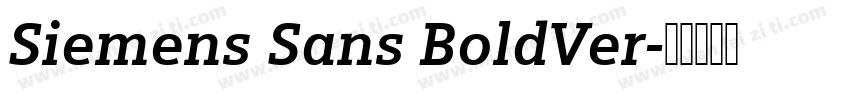 Siemens Sans BoldVer字体转换